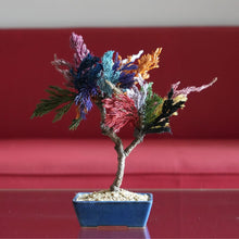 画像をギャラリービューアに読み込む, ドライ盆栽®カラフル ミニ No.2