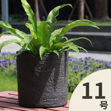 画像をギャラリービューアに読み込む, クラッシーポット ナチュラル シリンダー 11号 高さ36cm