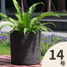 画像をギャラリービューアに読み込む, クラッシーポット ナチュラル シリンダー 14号 高さ43cm