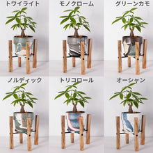 画像をギャラリービューアに読み込む, パキラ 5号 おしゃれなマーブル鉢カバー&ポットスタンドセット