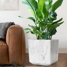 画像をギャラリービューアに読み込む, クラッシーポット マーブル キューブ 9号 高さ28cm