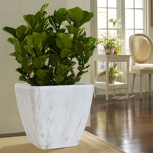 画像をギャラリービューアに読み込む, クラッシーポット マーブル スクエア 11号 高さ32cm