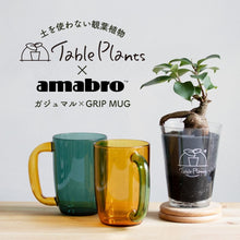 画像をギャラリービューアに読み込む, 【カンパイプランツ!】テーブルプランツ(Table Plants) ガジュマル×amabro GRIP MUG セット(土を使わない観葉植物)