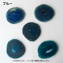 画像をギャラリービューアに読み込む, 【土を使わない観葉植物】 テーブルプランツ(Table Plants) ×カラフルCRYSTAL COASTERセット