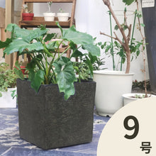 画像をギャラリービューアに読み込む, クラッシーポット ナチュラルキューブ 9号 高さ28cm