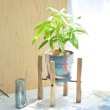 画像をギャラリービューアに読み込む, パキラ 5号 おしゃれなマーブル鉢カバー&ポットスタンドセット