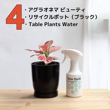 画像をギャラリービューアに読み込む, 【土を使わない観葉植物】テーブルプランツ(Table Plants) アグラオネマ×リサイクルポット(ブラック)