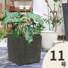 画像をギャラリービューアに読み込む, クラッシーポット ナチュラルキューブ 11号 高さ35cm