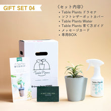 画像をギャラリービューアに読み込む, 【土を使わない観葉植物】テーブルプランツ ギフトセット(Table Plants)レザーポットカバー
