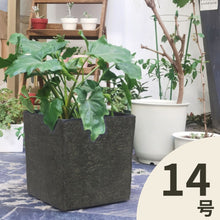 画像をギャラリービューアに読み込む, クラッシーポット ナチュラルキューブ 14号 高さ44cm