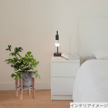 画像をギャラリービューアに読み込む, ヒメモンステラ 5号 植木鉢カバー+スタンドセット おしゃれ リビング インテリア