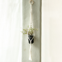 画像をギャラリービューアに読み込む, 【土を使わない観葉植物】つる性テーブルプランツ(Table Plants) ×ハンギングセット