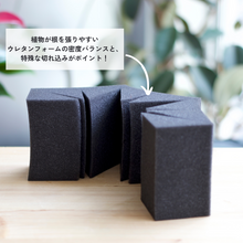画像をギャラリービューアに読み込む, 【TablePlantsCUBE(テーブルプランツキューブ)専用】スポンジ単品