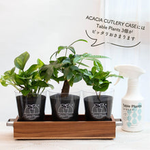 画像をギャラリービューアに読み込む, 【TablePlants専用】アカシア素材ケース+Table Plants Waterセット