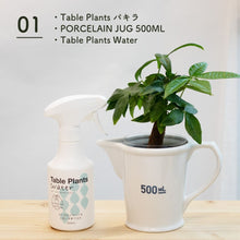画像をギャラリービューアに読み込む, 【土を使わない観葉植物】 テーブルプランツ(Table Plants) ポーセリンジャグ+Waterセット