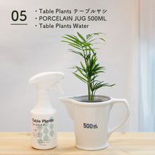 画像をギャラリービューアに読み込む, 【土を使わない観葉植物】 テーブルプランツ(Table Plants) ポーセリンジャグ+Waterセット