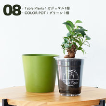 画像をギャラリービューアに読み込む, 【土を使わない観葉植物】テーブルプランツ(Table Plants)×COLOR POT SET