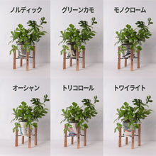 画像をギャラリービューアに読み込む, ヒメモンステラ 5号 マーブル鉢カバー&ポットスタンドセット