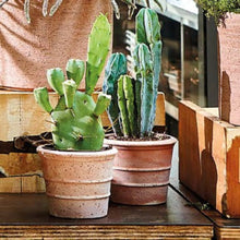 画像をギャラリービューアに読み込む, DEROMA テラコッタキット ヴァソ ミニ シエナ 3号×3個セット (高さ9cm)