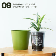 画像をギャラリービューアに読み込む, 【土を使わない観葉植物】テーブルプランツ(Table Plants)×COLOR POT SET