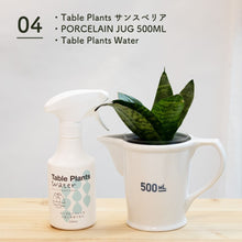 画像をギャラリービューアに読み込む, 【土を使わない観葉植物】 テーブルプランツ(Table Plants) ポーセリンジャグ+Waterセット