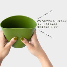 画像をギャラリービューアに読み込む, 【土を使わない観葉植物】テーブルプランツ(Table Plants)×COLOR POT SET