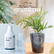 画像をギャラリービューアに読み込む, 【土を使わない観葉植物】テーブルプランツ(Table Plants)×cu:Leaf®(キュリーフ)500mlセット