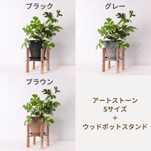画像をギャラリービューアに読み込む, ヒメモンステラ 5号 植木鉢カバー+スタンドセット おしゃれ リビング インテリア
