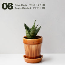 画像をギャラリービューアに読み込む, 【土を使わない観葉植物】テーブルプランツ(Table Plants)1品種×Kaunis Standard鉢セット