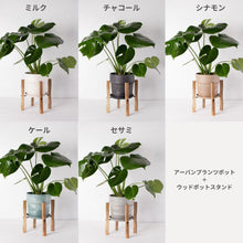画像をギャラリービューアに読み込む, モンステラ・アダンソニー 6号 シンプルな鉢カバー&ポットスタンドセット