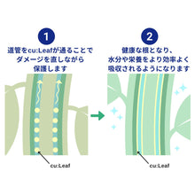 画像をギャラリービューアに読み込む, 【定期便専用ページ】cu:Leaf®(キュリーフ) 1000ml