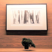 画像をギャラリービューアに読み込む, ドライ盆栽® ガラス花器 組み立てキット 正方形小サイズ(緑)