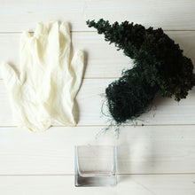 画像をギャラリービューアに読み込む, ドライ盆栽® ガラス花器 組み立てキット 正方形小サイズ(緑)