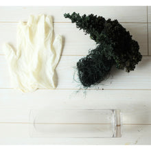 画像をギャラリービューアに読み込む, ドライ盆栽® ガラス花器 組み立てキット 円柱型中サイズ(緑)