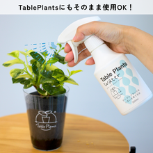 画像をギャラリービューアに読み込む, 【観葉植物をいきいき育てる水】Table Plants Water (テーブル プランツ ウォーター)