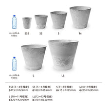 画像をギャラリービューアに読み込む, オリーブの木 7号 鉢カバー&移動に便利なキャスターセット 瀬戸内産 (ポットスタンド)