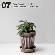 画像をギャラリービューアに読み込む, 【土を使わない観葉植物】テーブルプランツ(Table Plants)1品種×Kaunis Standard鉢セット