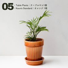 画像をギャラリービューアに読み込む, 【土を使わない観葉植物】テーブルプランツ(Table Plants)1品種×Kaunis Standard鉢セット