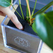 画像をギャラリービューアに読み込む, 【TablePlantsCUBE(テーブルプランツキューブ)専用】スポンジ単品