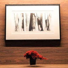 画像をギャラリービューアに読み込む, ドライ盆栽® ガラス花器 組み立てキット 正方形小サイズ(赤)