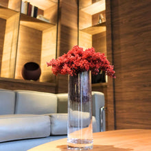 画像をギャラリービューアに読み込む, ドライ盆栽® ガラス花器 組み立てキット 円柱型中サイズ(赤)
