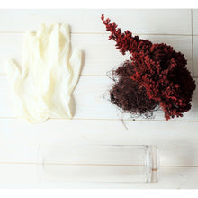 画像をギャラリービューアに読み込む, ドライ盆栽® ガラス花器 組み立てキット 円柱型中サイズ(赤)