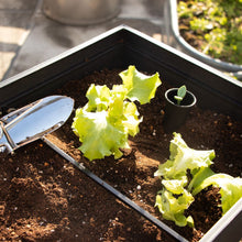画像をギャラリービューアに読み込む, 【高床式菜園植木鉢・プランター】KETER Urban bloomr(アーバンブルーマー)
