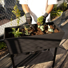 画像をギャラリービューアに読み込む, 【高床式菜園植木鉢・プランター】KETER Urban bloomr(アーバンブルーマー)