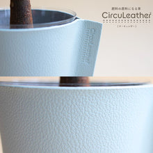 画像をギャラリービューアに読み込む, 【土を使わない観葉植物】テーブルプランツ (Table Plants) レザーポットカバーセット