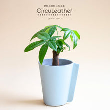 画像をギャラリービューアに読み込む, 【土を使わない観葉植物】テーブルプランツ ギフトセット(Table Plants)レザーポットカバー