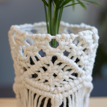 画像をギャラリービューアに読み込む, ギフトにおすすめ!【土を使わない観葉植物】テーブルプランツ (Table Plants) ×マクラメカバー×Table Plants Water(テーブルプランツウォーター)セット