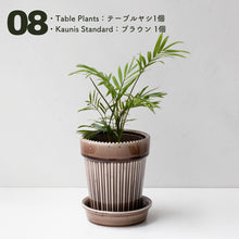 画像をギャラリービューアに読み込む, 【土を使わない観葉植物】テーブルプランツ(Table Plants)1品種×Kaunis Standard鉢セット