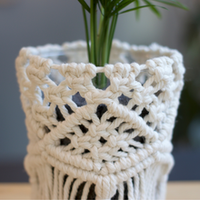 画像をギャラリービューアに読み込む, 【土を使わない観葉植物】テーブルプランツ (Table Plants) マクラメカバーセット