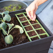 画像をギャラリービューアに読み込む, 【高床式菜園植木鉢・プランター】KETER Urban bloomr(アーバンブルーマー)